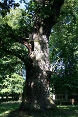 Killikus&reg; Fotographie